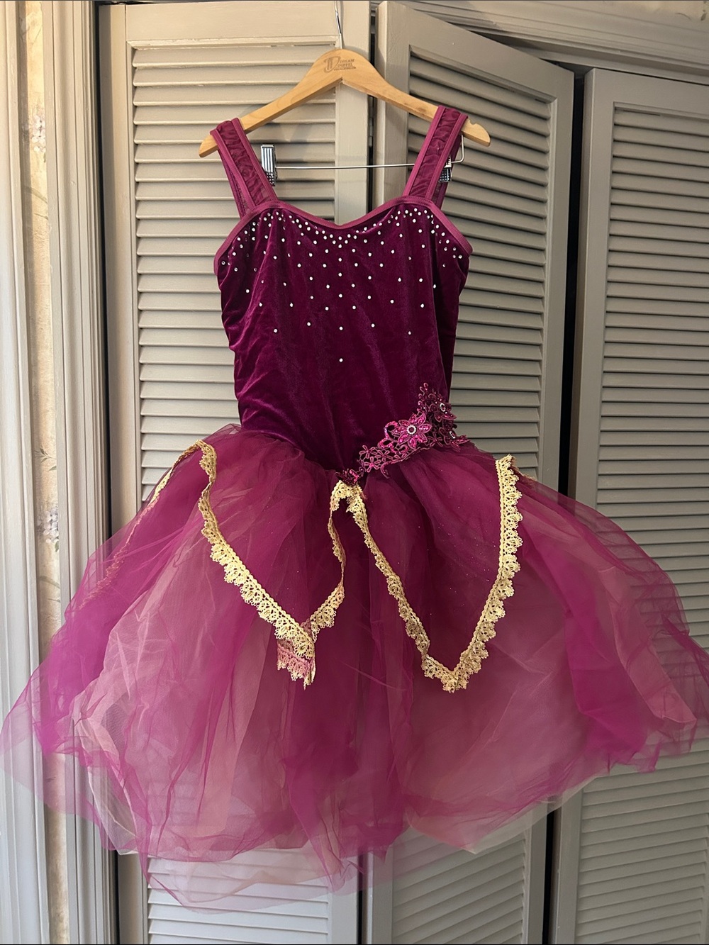 Weissman Plum and Gold Ballet costume